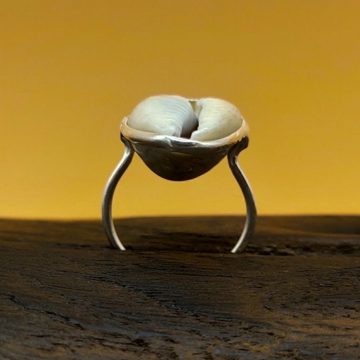 925 Sterling Silver Natural Cowrie Shell Gemstone Rings