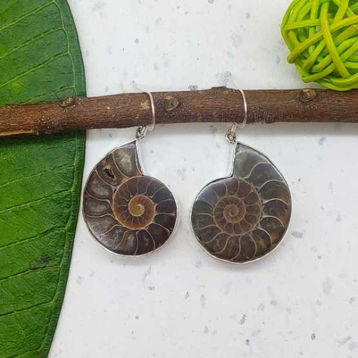 Natural Ammonite Shell 925 Sterling Silver Classic Handmade Earring For Her